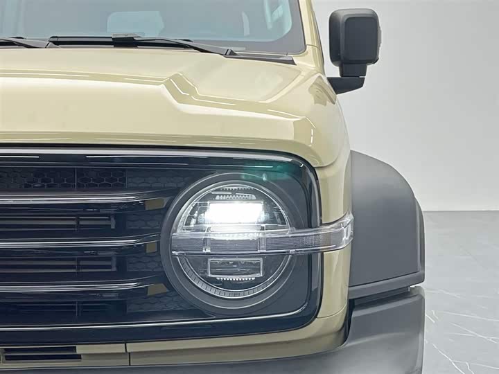 Tank 300 2025 2025款 2.4T 柴油版