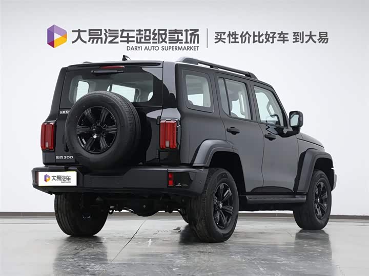 Tank 300 2025 2025款 2.4T 柴油版