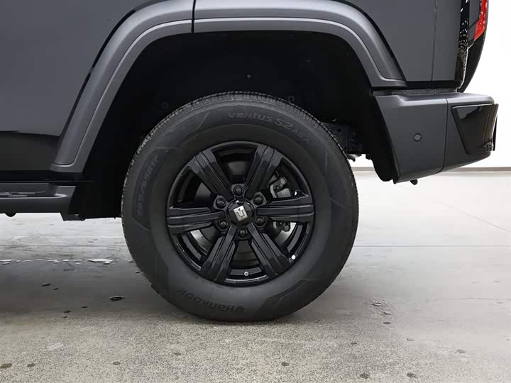 Tank 300 2025 2025款 2.4T 柴油版