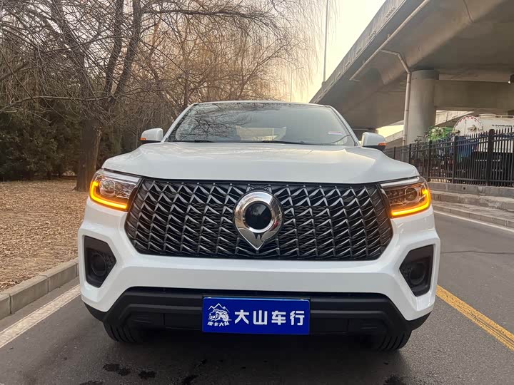 Great Wall Pao 2024 2024款 2.4T商用版自动柴油两驱精英型