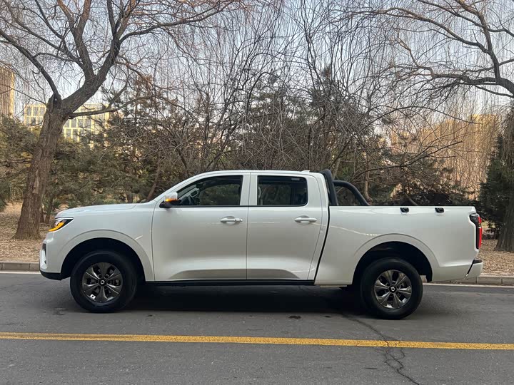 Great Wall Pao 2024 2024款 2.4T商用版自动柴油两驱精英型