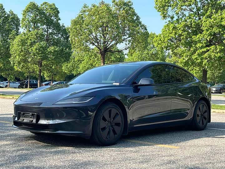 Tesla Model 3 2025 2025款 后轮驱动版