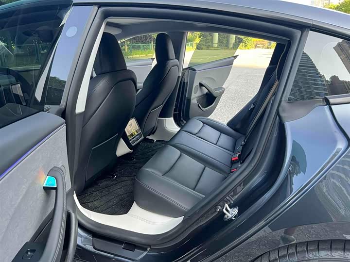 Tesla Model 3 2025 2025款 后轮驱动版