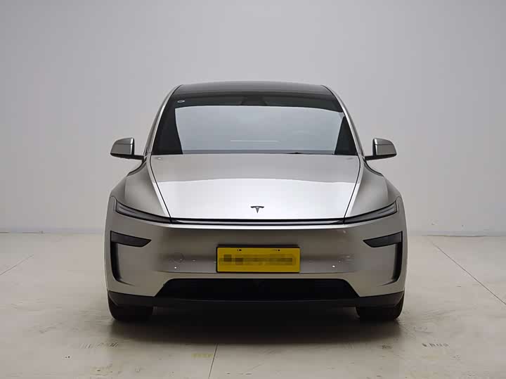 Tesla Model Y 2025 2025款 长续航全轮驱动版