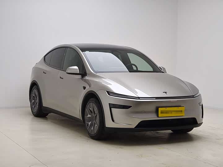 Tesla Model Y 2025 2025款 长续航全轮驱动版