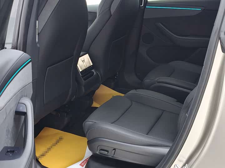 Tesla Model Y 2025 2025款 长续航全轮驱动版