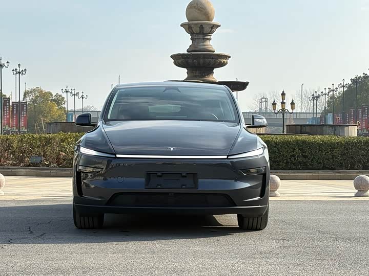 Tesla Model Y 2025 2025款 后轮驱动 首发版