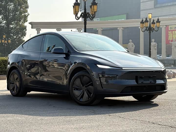 Tesla Model Y 2025 2025款 后轮驱动 首发版