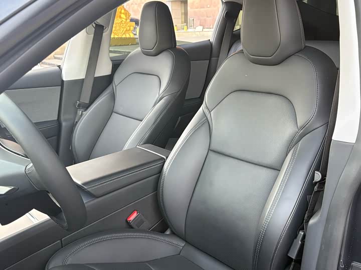 Tesla Model Y 2025 2025款 后轮驱动 首发版