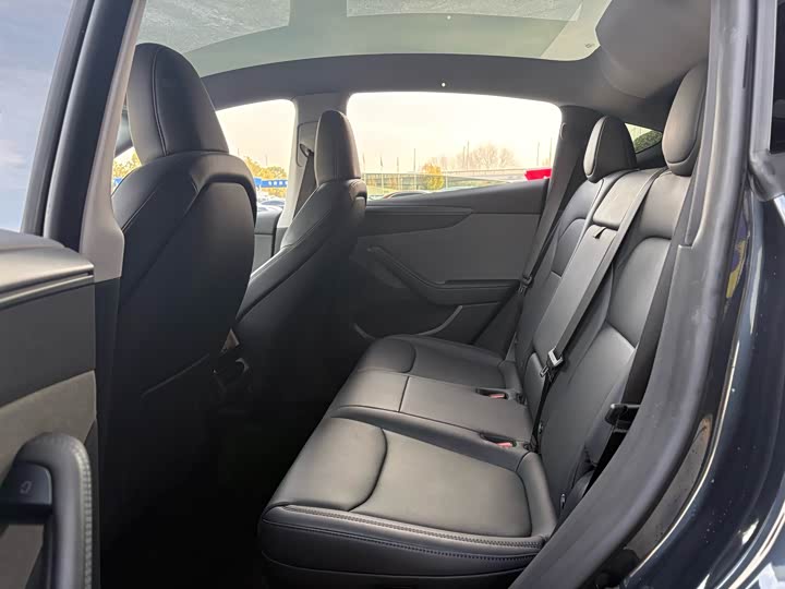 Tesla Model Y 2025 2025款 后轮驱动 首发版