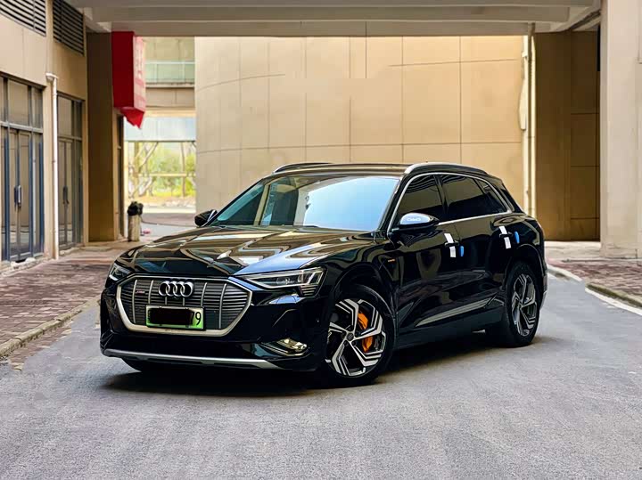 Audi e-tron 2021 2021款 50 quattro 臻选型