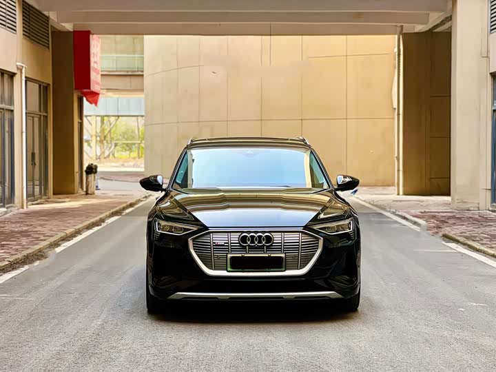 Audi e-tron 2021 2021款 50 quattro 臻选型