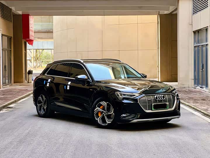 Audi e-tron 2021 2021款 50 quattro 臻选型