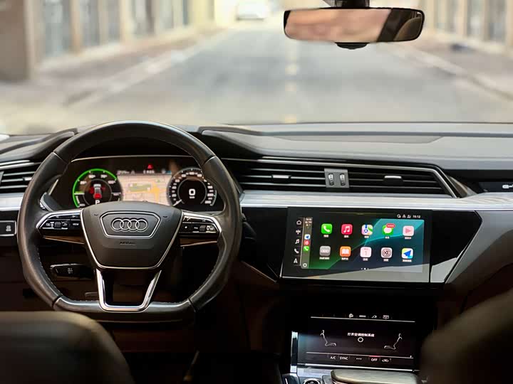 Audi e-tron 2021 2021款 50 quattro 臻选型