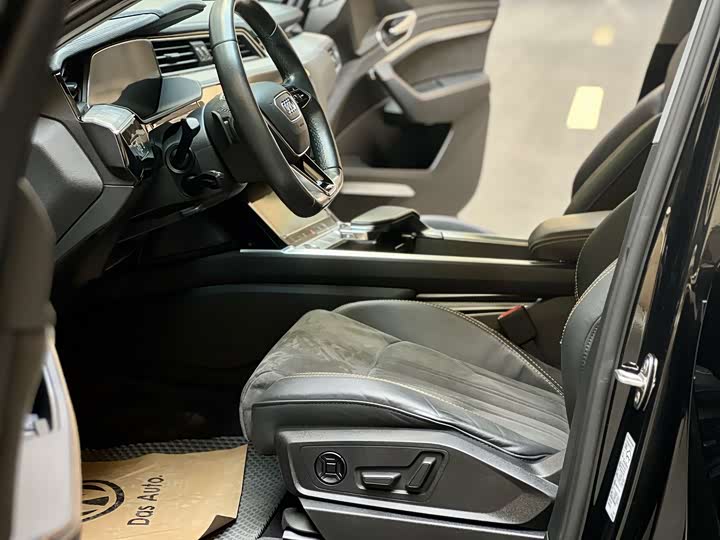 Audi e-tron 2021 2021款 50 quattro 臻选型