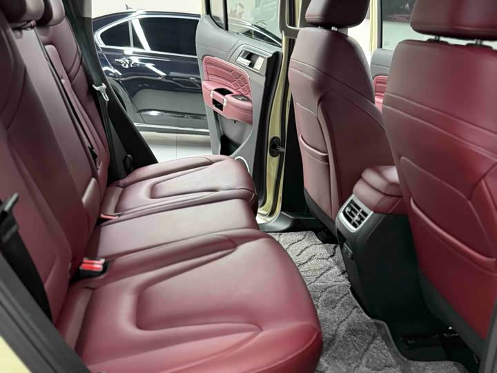 Tank 300 2025 2025款 2.0T 汽油征服者