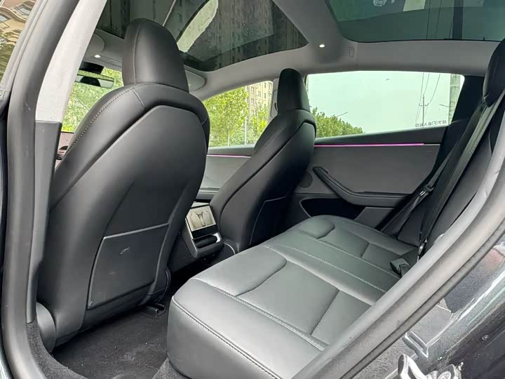 Tesla Model 3 2025 2025款 后轮驱动版