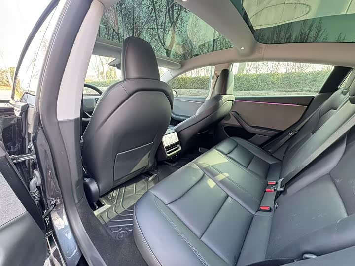 Tesla Model 3 2025 2025款 后轮驱动版