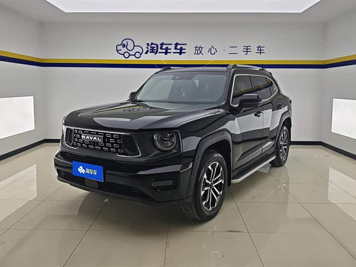 Haval H-Dog 2023 2023款 2.0T 两驱潮野版Plus