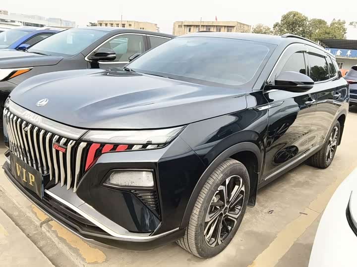 2024 Dongfeng Aeolus Haoji