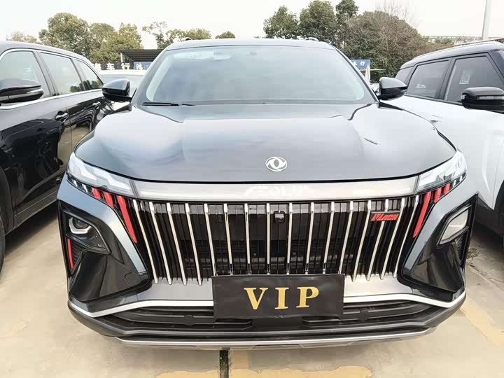 2024 Dongfeng Aeolus Haoji