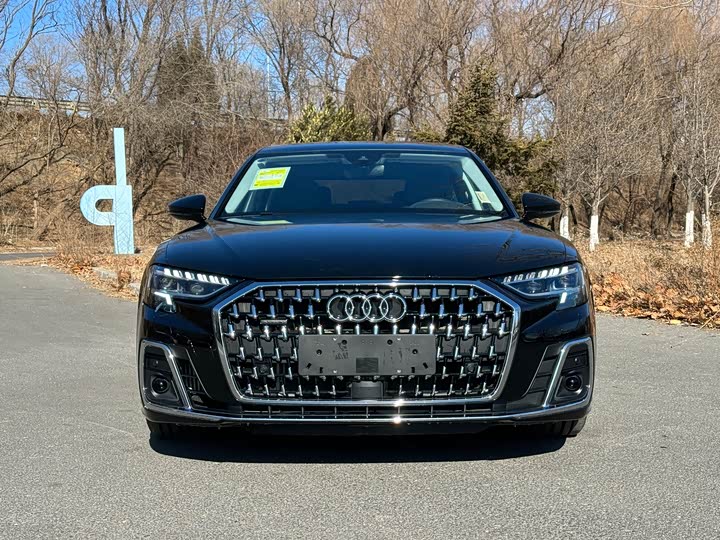 Audi A8 2025 2025款 A8L 45 TFSI quattro 豪华型