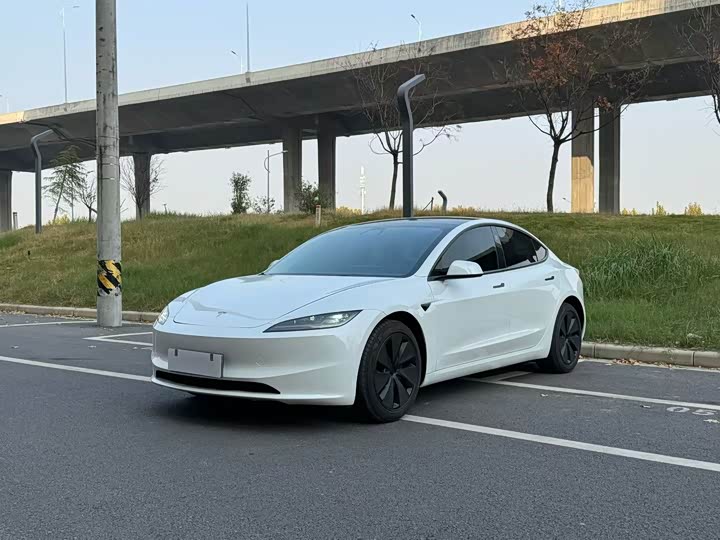 Tesla Model 3 2025 2025款 后轮驱动版