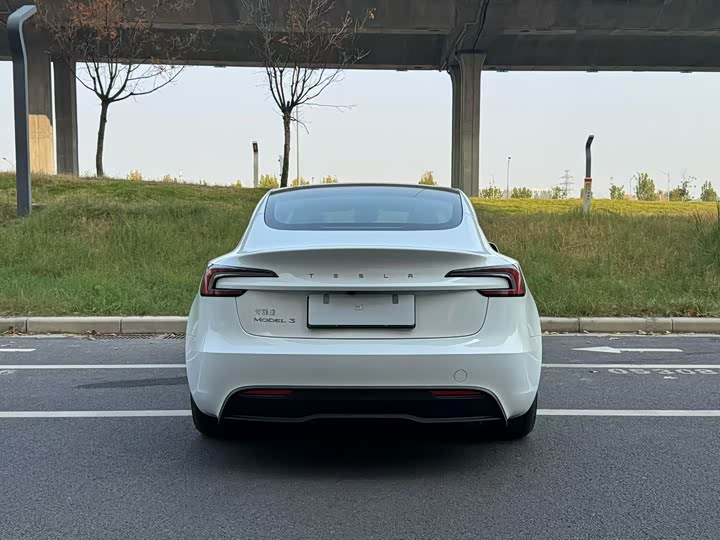 Tesla Model 3 2025 2025款 后轮驱动版