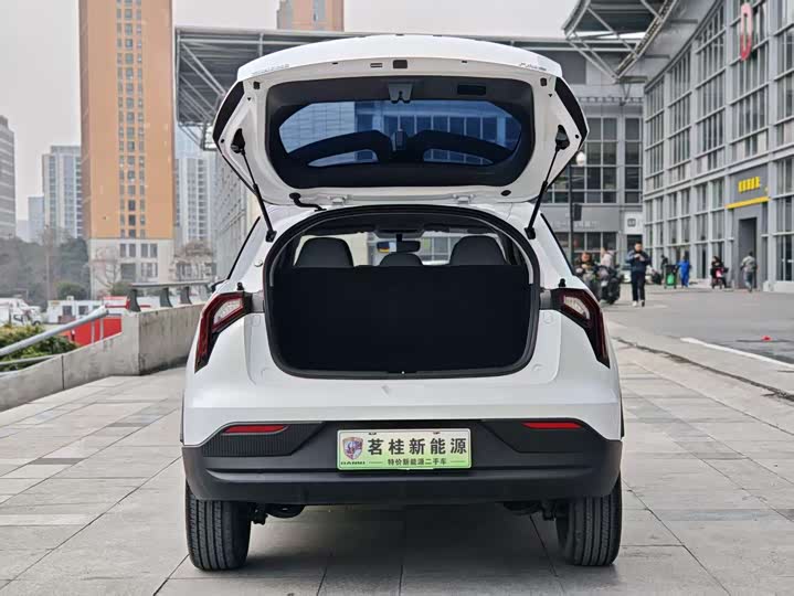 Geely Geometry E Firefly 2024 2024款 301km 流光