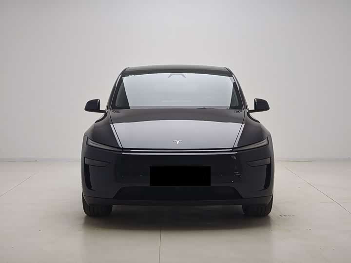 Tesla Model Y 2025 2025款 后轮驱动版