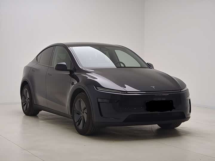 Tesla Model Y 2025 2025款 后轮驱动版