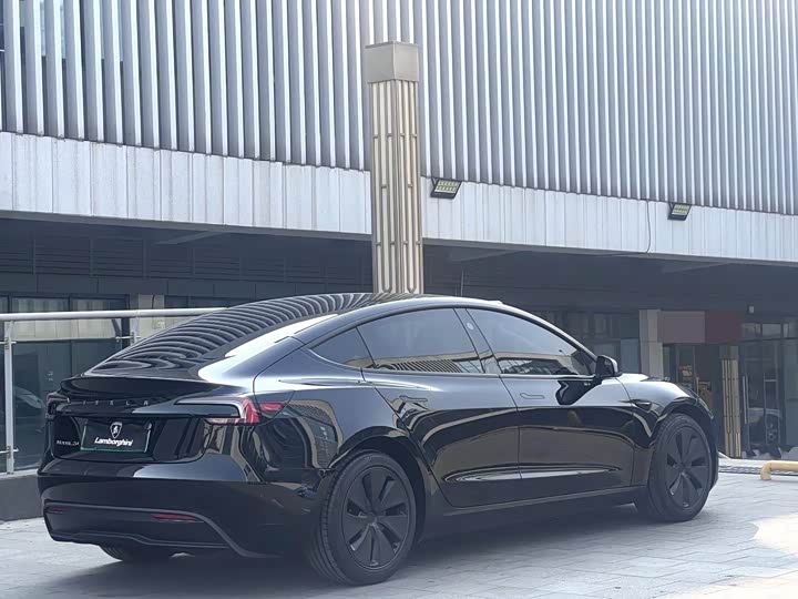 Tesla Model 3 2025 2025款 长续航全轮驱动版