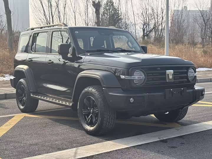 Tank 300 2025 2025款 2.4T 柴油版