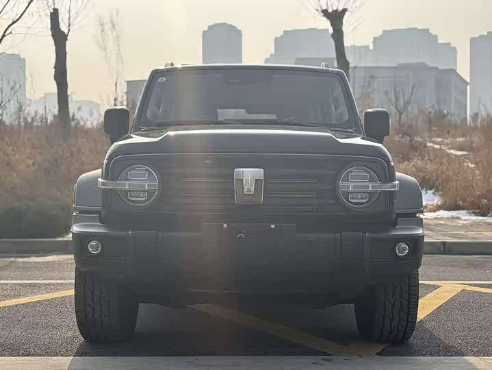 Tank 300 2025 2025款 2.4T 柴油版