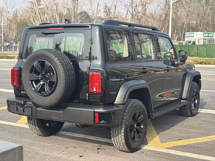 Tank 300 2025 2025款 2.4T 柴油版