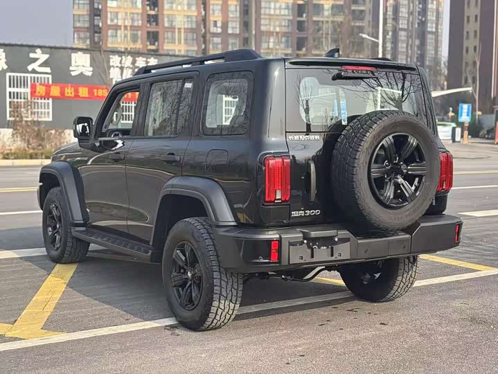 Tank 300 2025 2025款 2.4T 柴油版