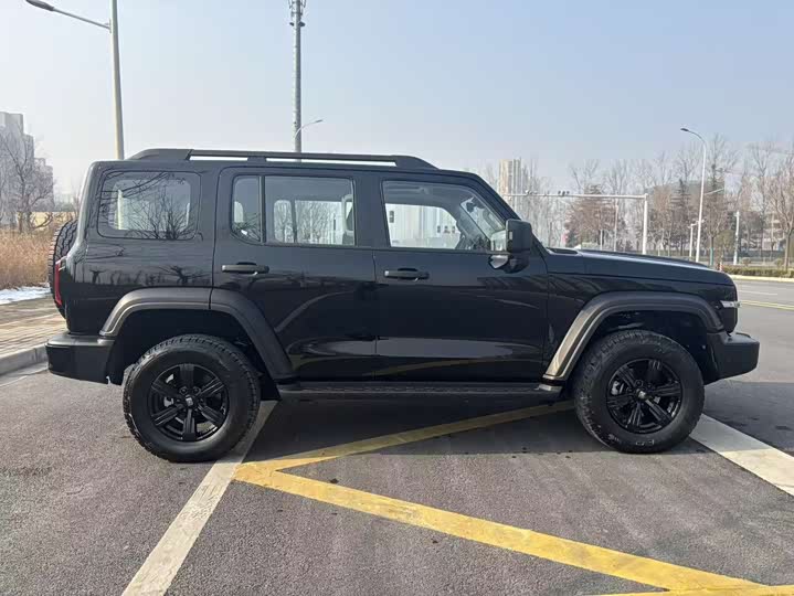 Tank 300 2025 2025款 2.4T 柴油版