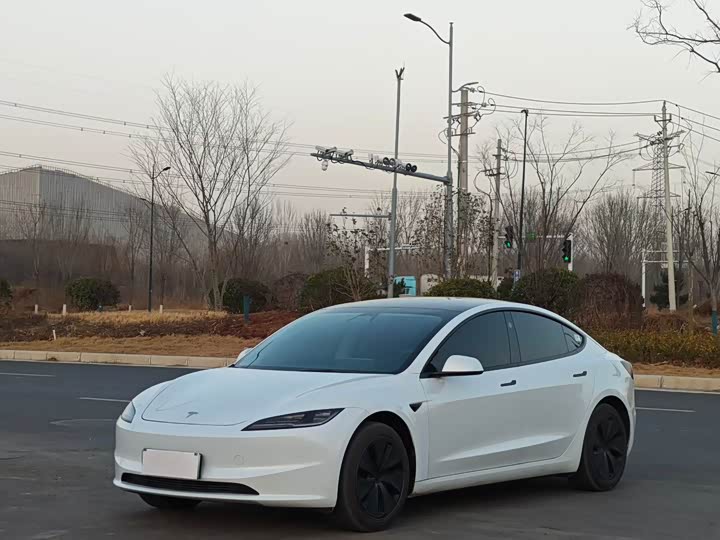 Tesla Model 3 2025 2025款 后轮驱动版