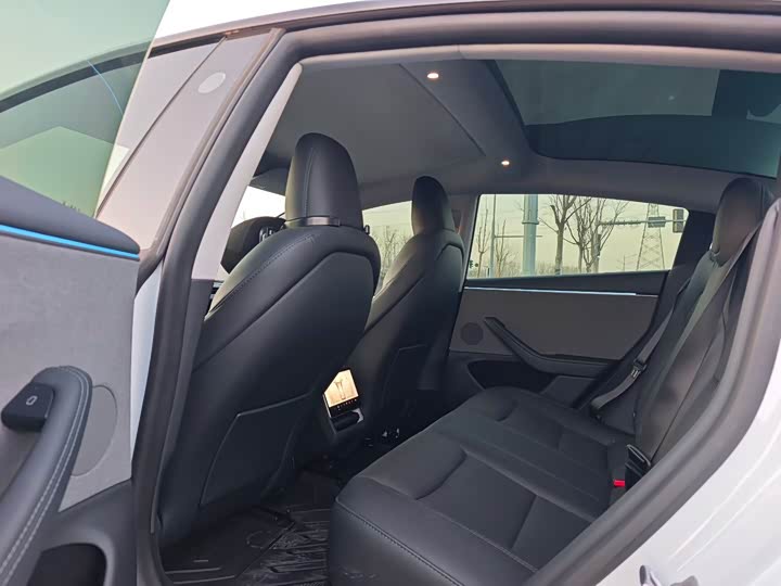 Tesla Model 3 2025 2025款 后轮驱动版