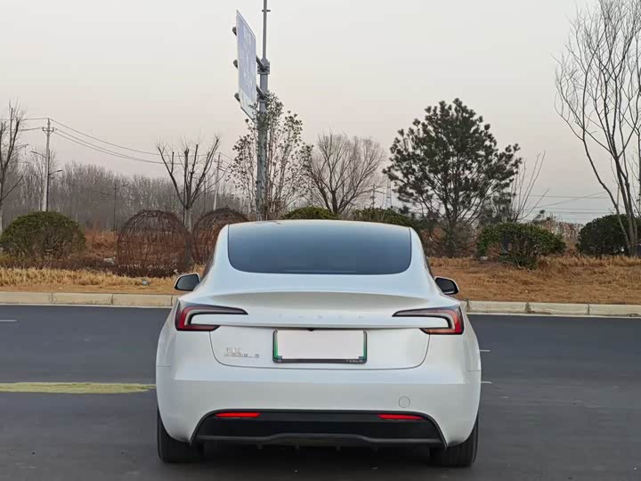 Tesla Model 3 2025 2025款 后轮驱动版