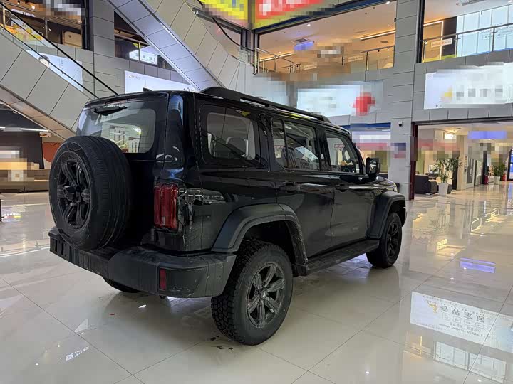 Tank 300 2025 2025款 2.0T 汽油征服者