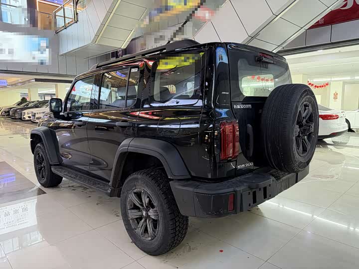 Tank 300 2025 2025款 2.0T 汽油征服者