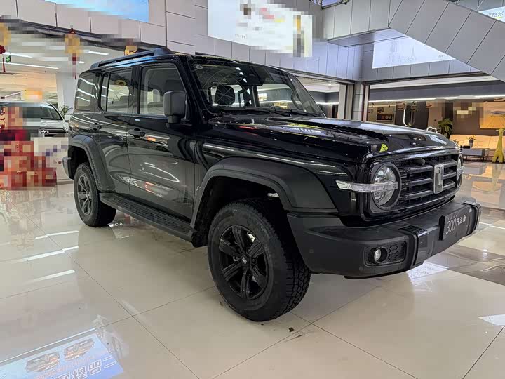 Tank 300 2025 2025款 2.0T 汽油征服者