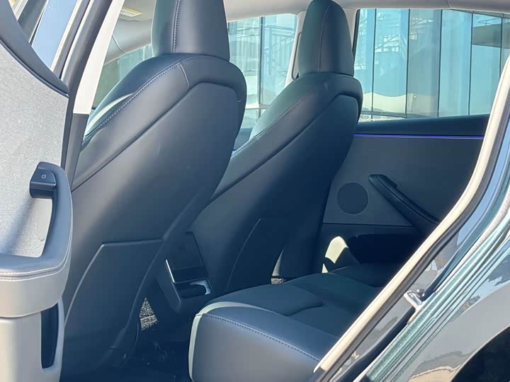 Tesla Model 3 2025 2025款 后轮驱动版