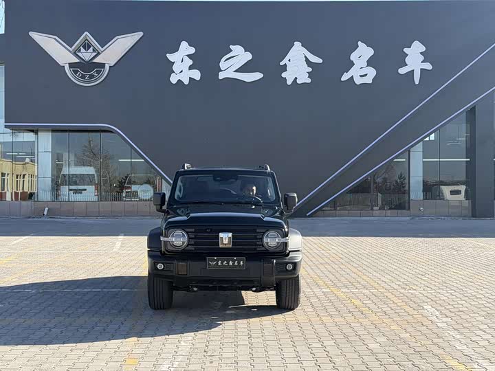 Tank 300 2025 2025款 2.0T 汽油征服者