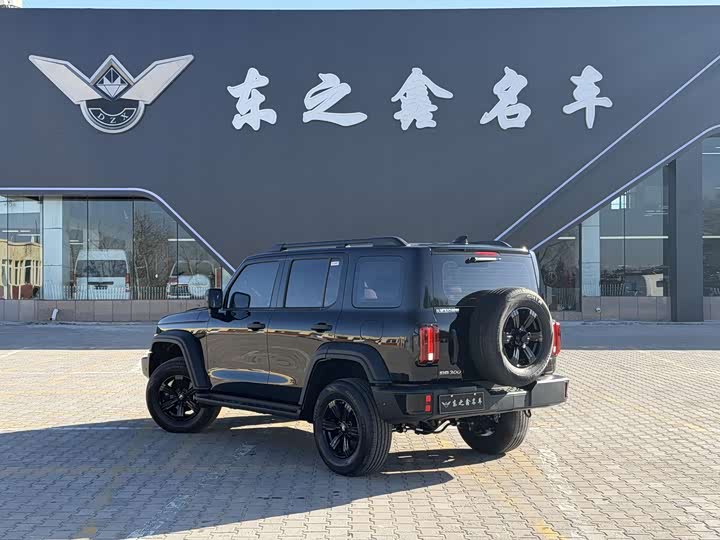 Tank 300 2025 2025款 2.0T 汽油征服者