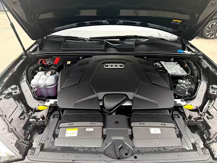 Audi Q7 2025 2025款 55 TFSI quattro S line黑武士型