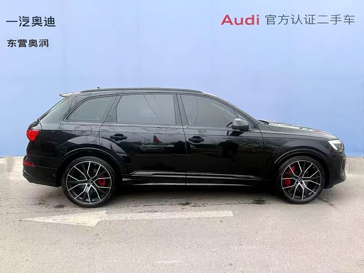Audi Q7 2025 2025款 55 TFSI quattro S line黑武士型