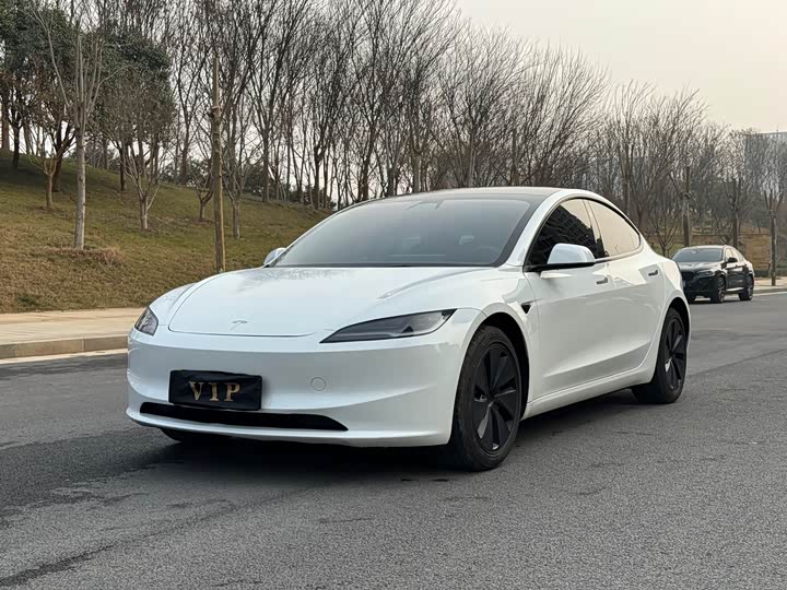Tesla Model 3 2025 2025款 后轮驱动版