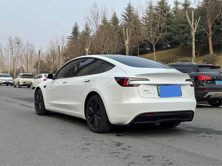 Tesla Model 3 2025 2025款 后轮驱动版